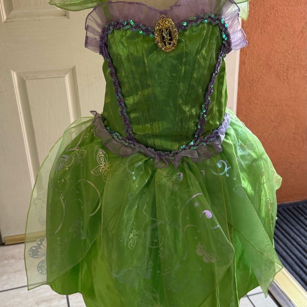 Disney Tinker Bell Green and Purple Halloween Costume